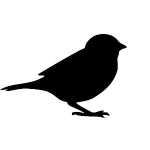 Black bird in beer